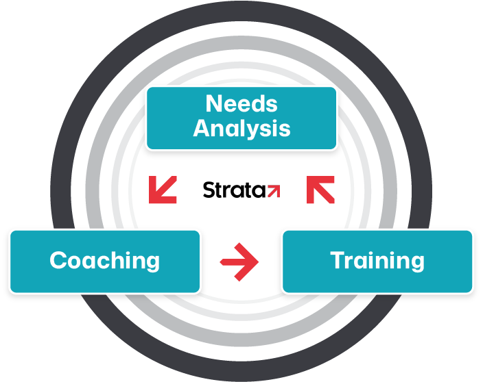 strata-flow-chart-circular-2